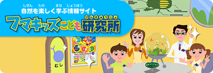 自然を楽しく学ぶ情報サイト　フマキッズこども研究所