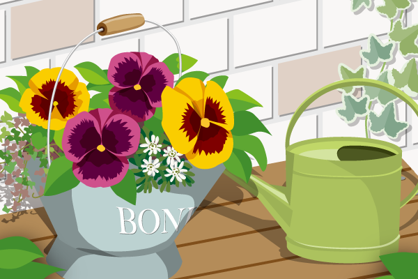 ボニータ 楽しみ方 画像