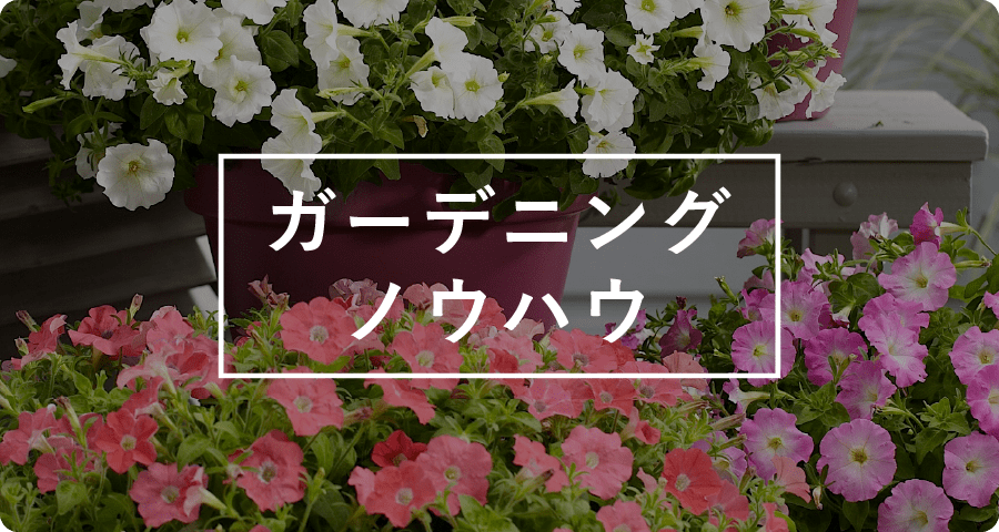 病・外注について