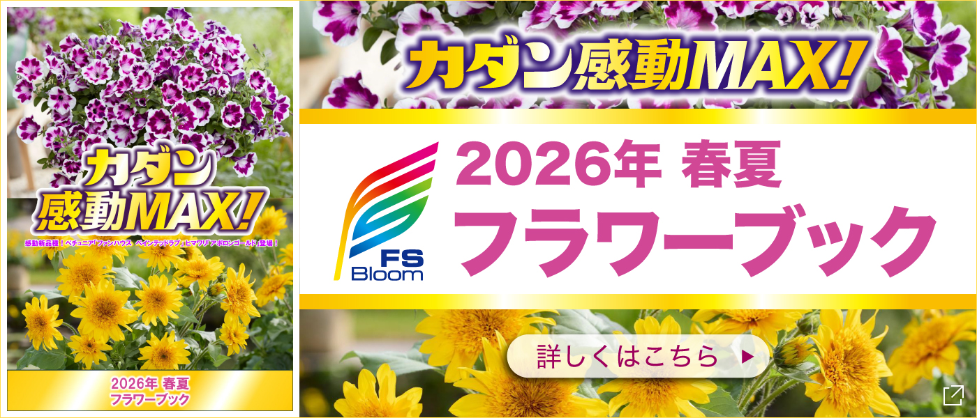フラワーカタログ