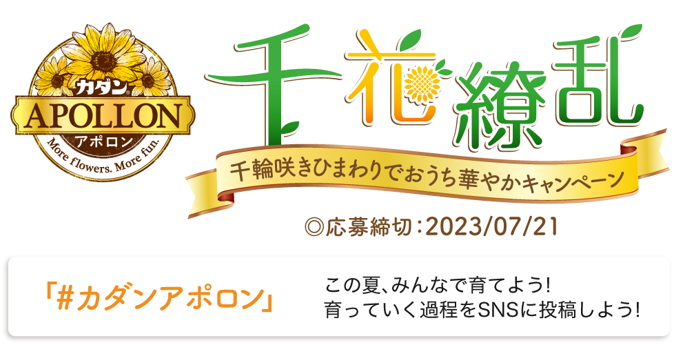 千花繚乱 キャンペーン