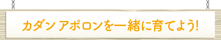 カダン アポロンを一緒に育てよう！