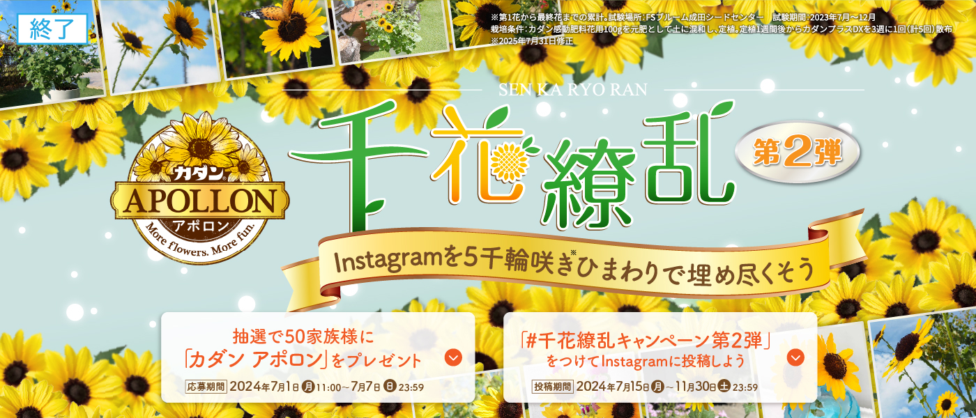 アポロン 千花繚乱 第2弾