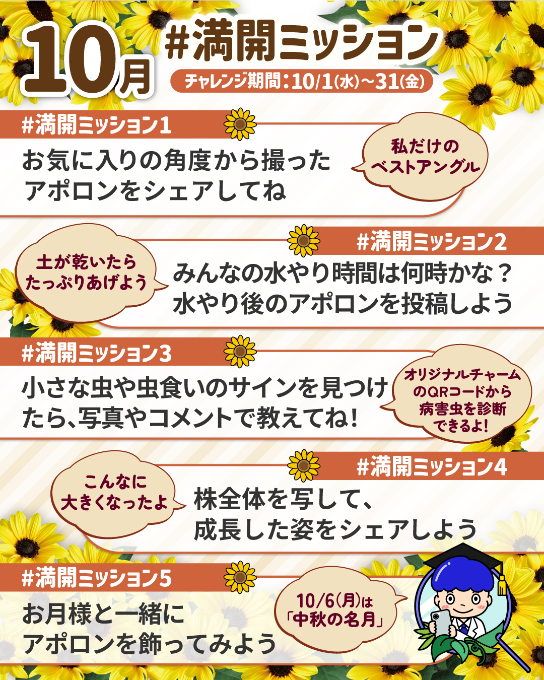 ミッションカード