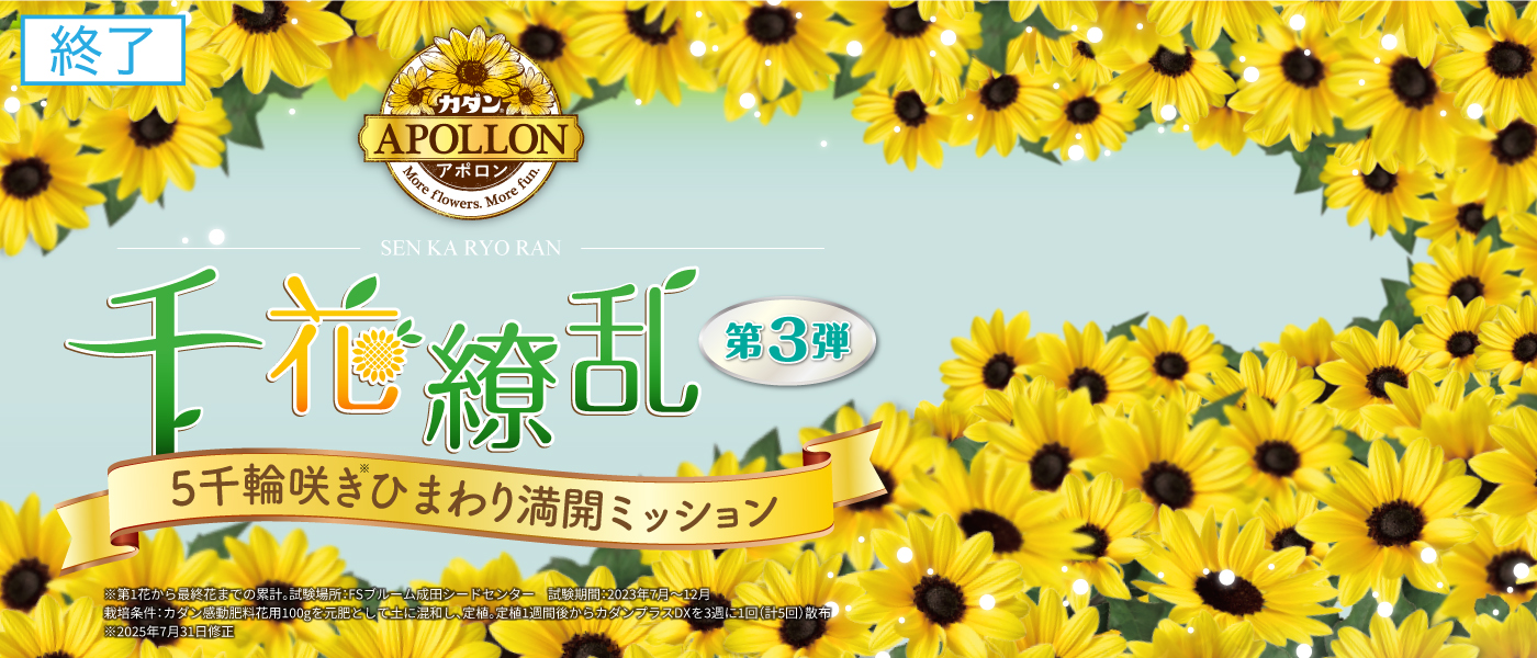 カダン アポロン 千花繚乱キャンペーン 第3弾