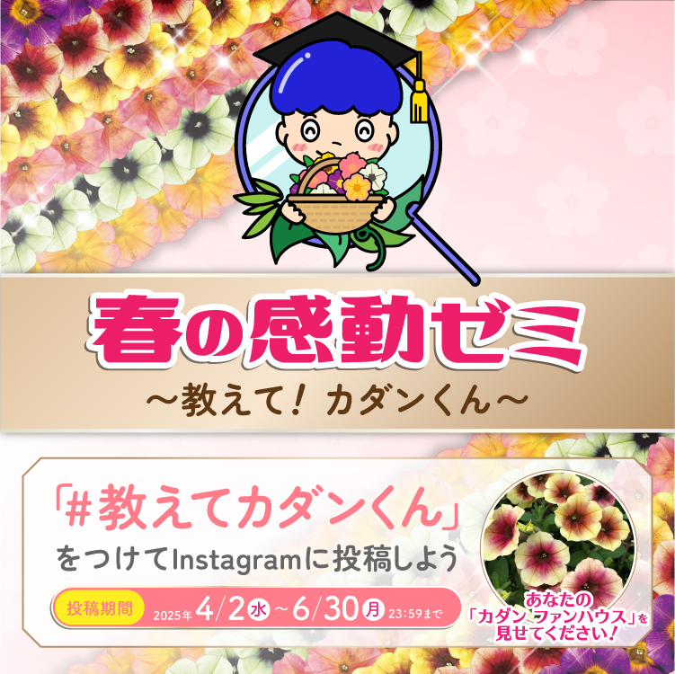 春の感動ゼミ〜教えて！カダンくん〜