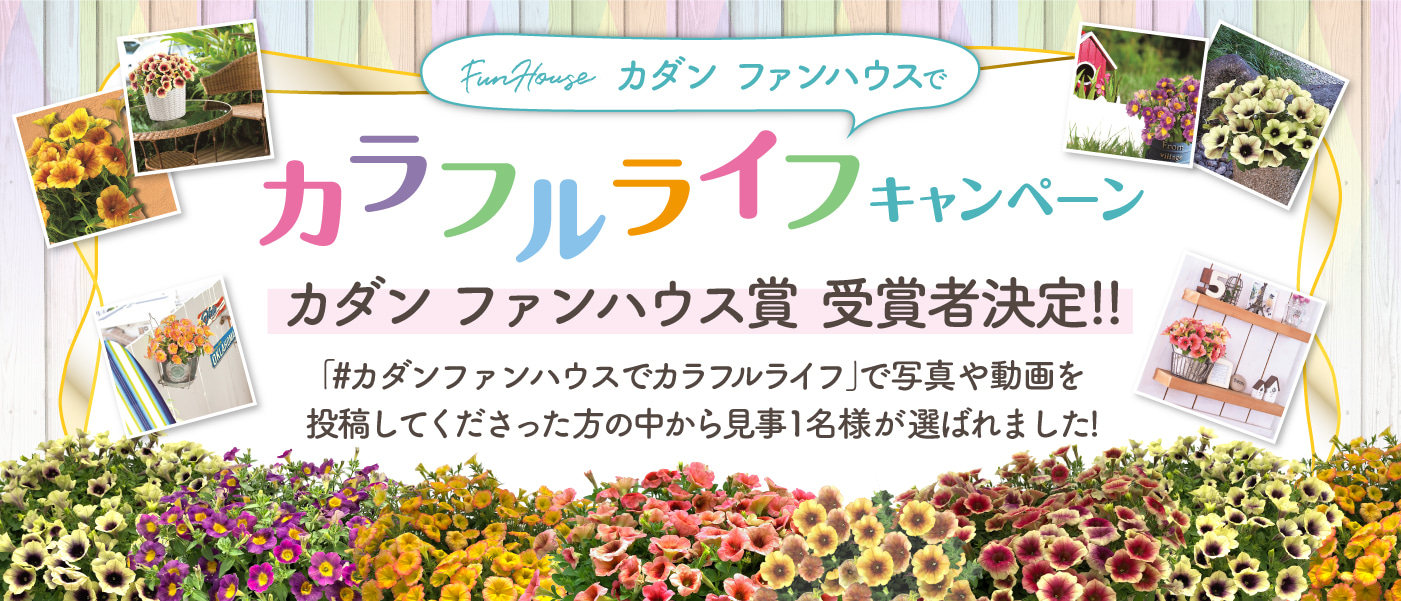 カダン ファンハウスでカラフルライフキャンペーン