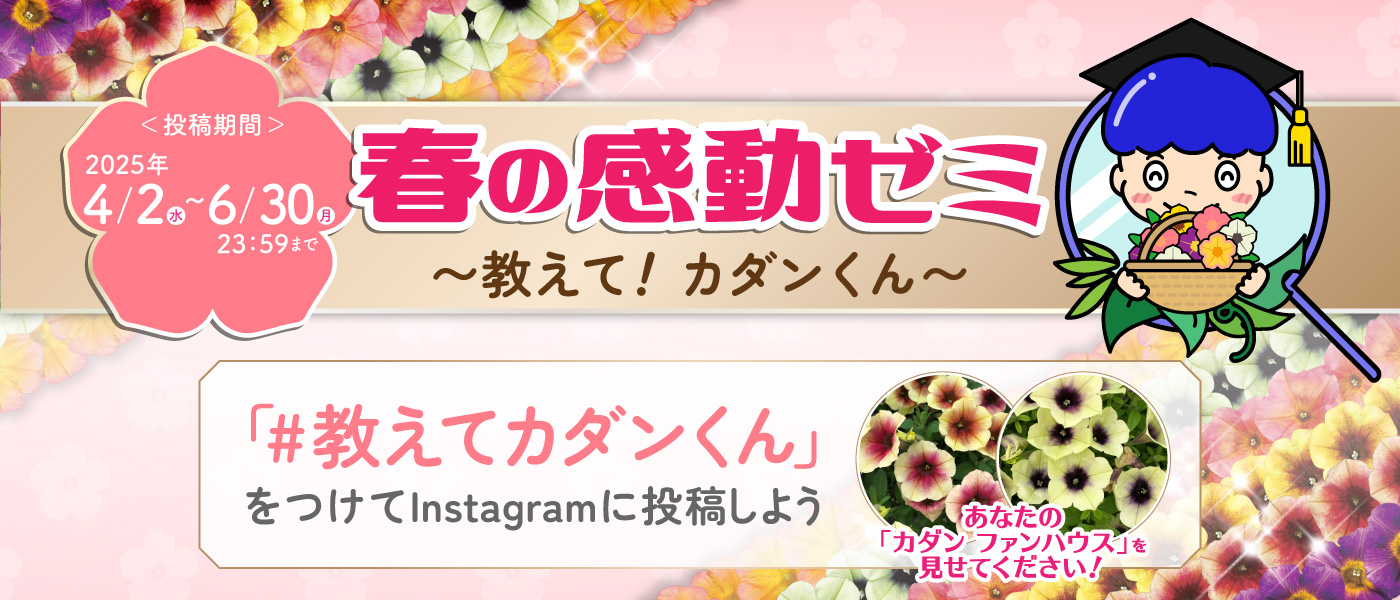 春の感動ゼミ 〜教えて！カダンくん〜