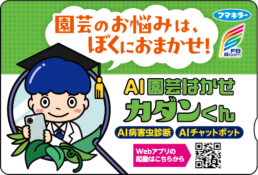 カダンくんQUOカード画像