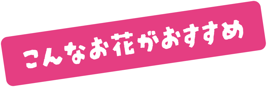 おすすめテキスト画像