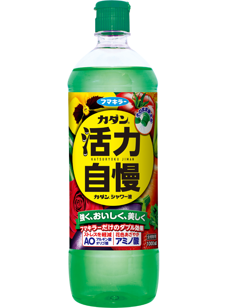 カダン シャワー液